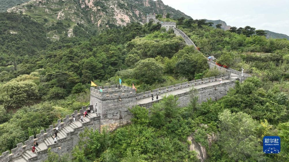 1000娱乐